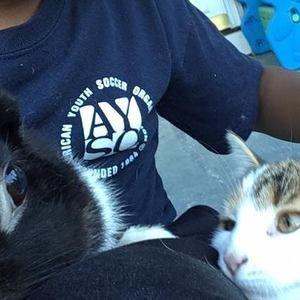 Meet your Posher, Aj